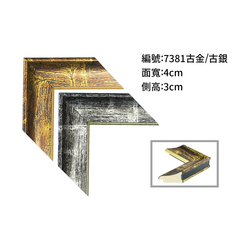 H25106-7381 古金.古銀  21.6 台寸.jpg