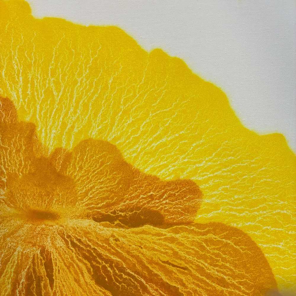 H25289-陳益云抽象畫-《一路生花》-圖心尺寸70X70CM-_8000-2.jpg