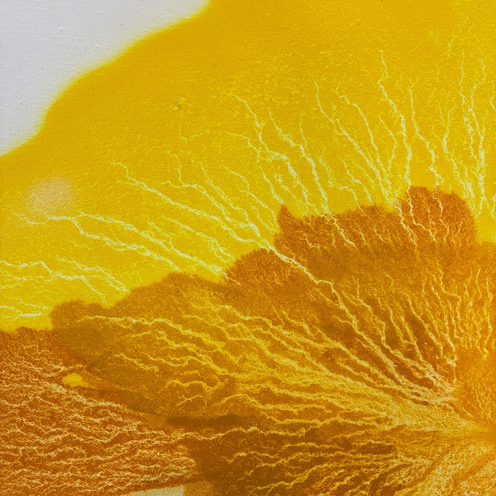 H25289-陳益云抽象畫-《一路生花》-圖心尺寸70X70CM-_8000-3.jpg