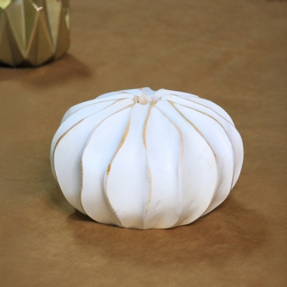 y16594_3_142-MG12S芒果木-矮18CM_1800.jpg