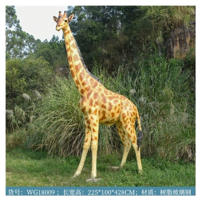 H25068-4米28.jpg