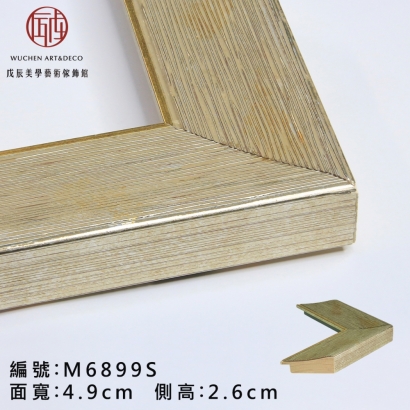 M6899 S 48 台寸-1.jpg