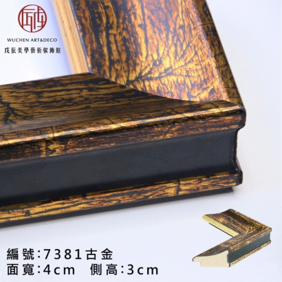 7381 古金  21.6 台寸-1.jpg