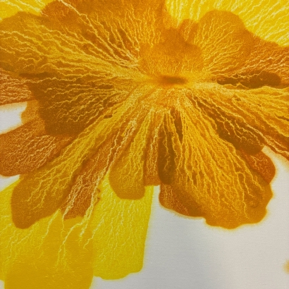 H25289-陳益云抽象畫-《一路生花》-圖心尺寸70X70CM-_8000-4.jpg H25289-陳益云抽象畫-《一路生花》-圖心尺寸70X70CM-_8000-4.jpg