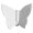 白釉