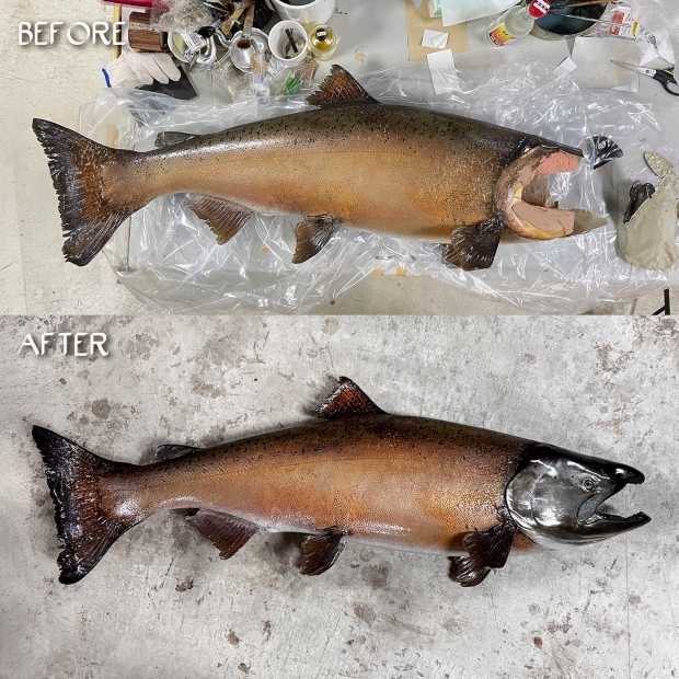 鮭魚修復對比圖.jpg